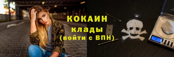 ПСИЛОЦИБИНОВЫЕ ГРИБЫ Богданович