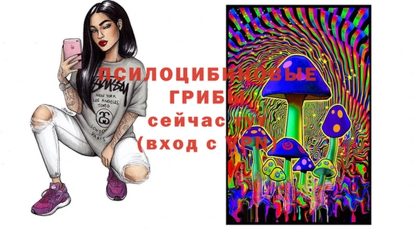 прущая мука Бронницы