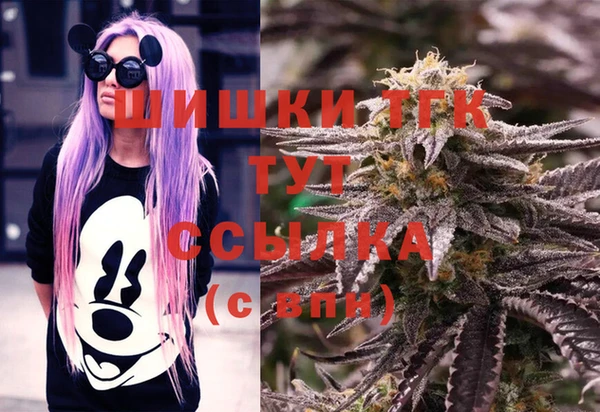 ПСИЛОЦИБИНОВЫЕ ГРИБЫ Богданович