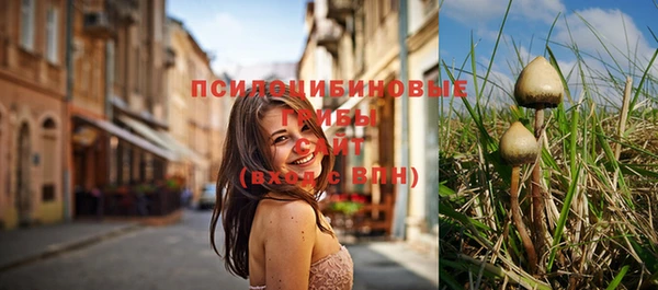 ПСИЛОЦИБИНОВЫЕ ГРИБЫ Богданович