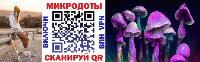 закладка  Черногорск  Галлюциногенные грибы MAGIC MUSHROOMS 